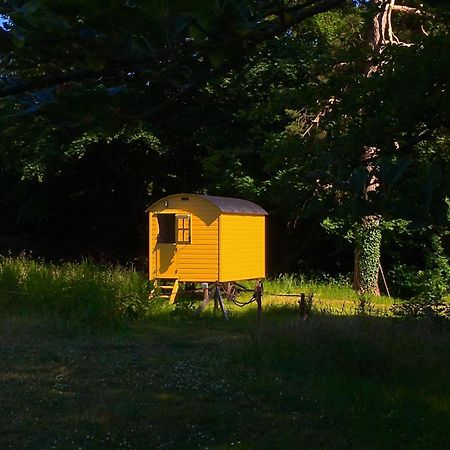 Blackstairs Shepherds Huts Killedmond المظهر الخارجي الصورة