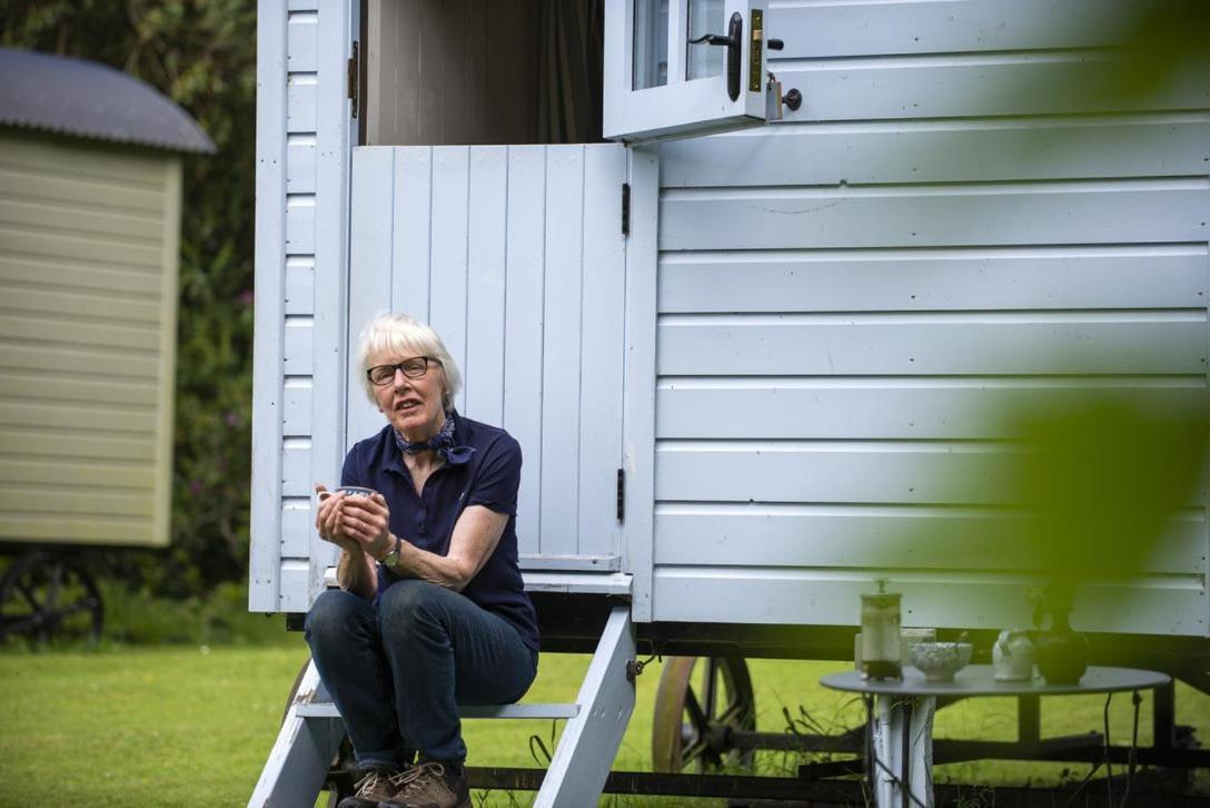 Blackstairs Shepherds Huts Killedmond المظهر الخارجي الصورة
