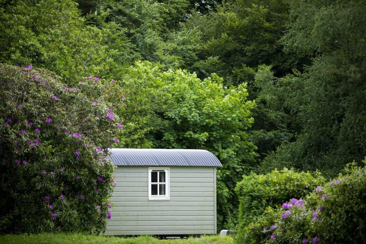 Blackstairs Shepherds Huts Killedmond المظهر الخارجي الصورة