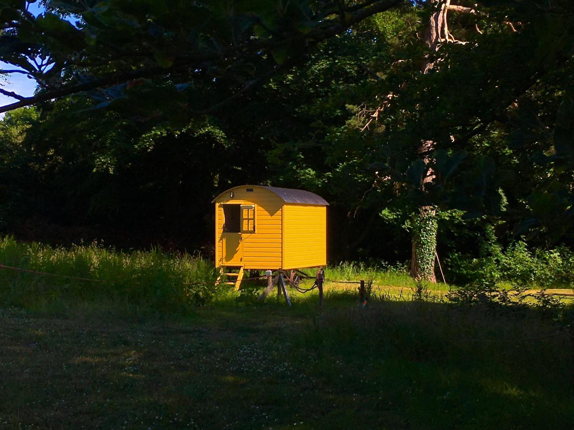 Blackstairs Shepherds Huts Killedmond المظهر الخارجي الصورة