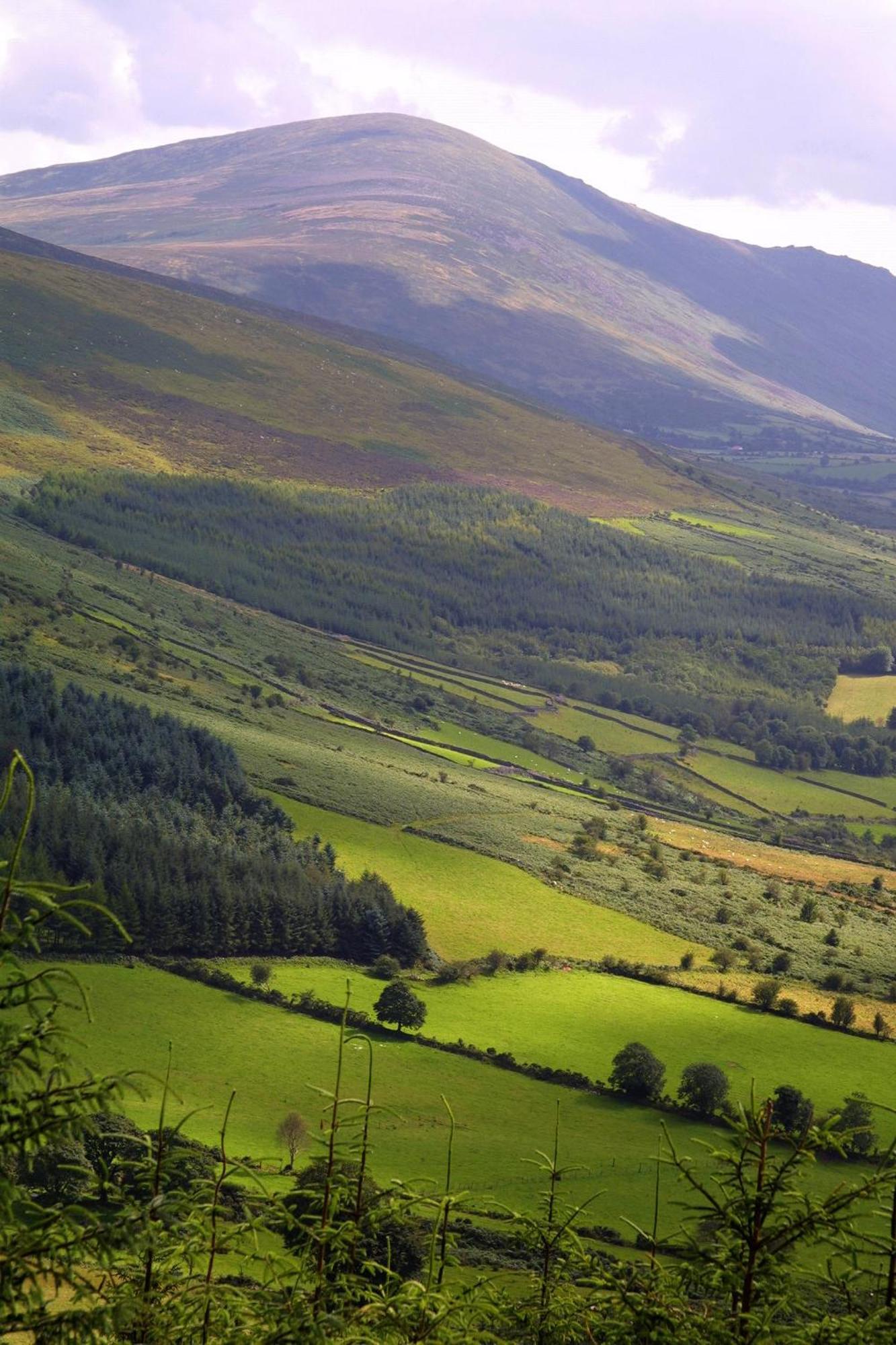 Blackstairs Shepherds Huts Killedmond المظهر الخارجي الصورة