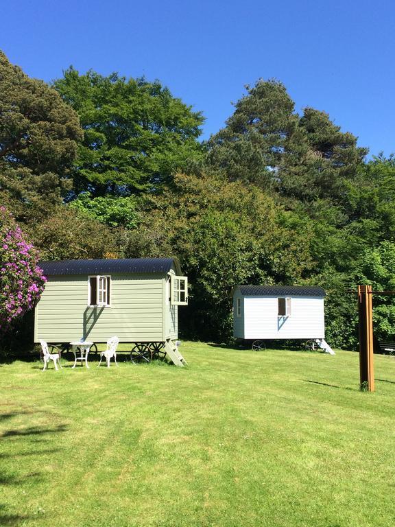 Blackstairs Shepherds Huts Killedmond المظهر الخارجي الصورة