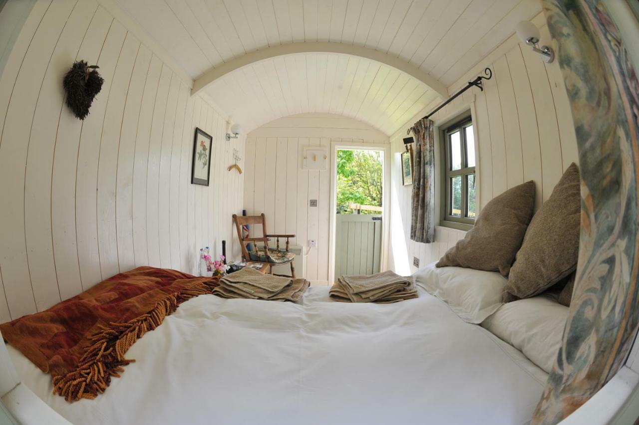 Blackstairs Shepherds Huts Killedmond المظهر الخارجي الصورة