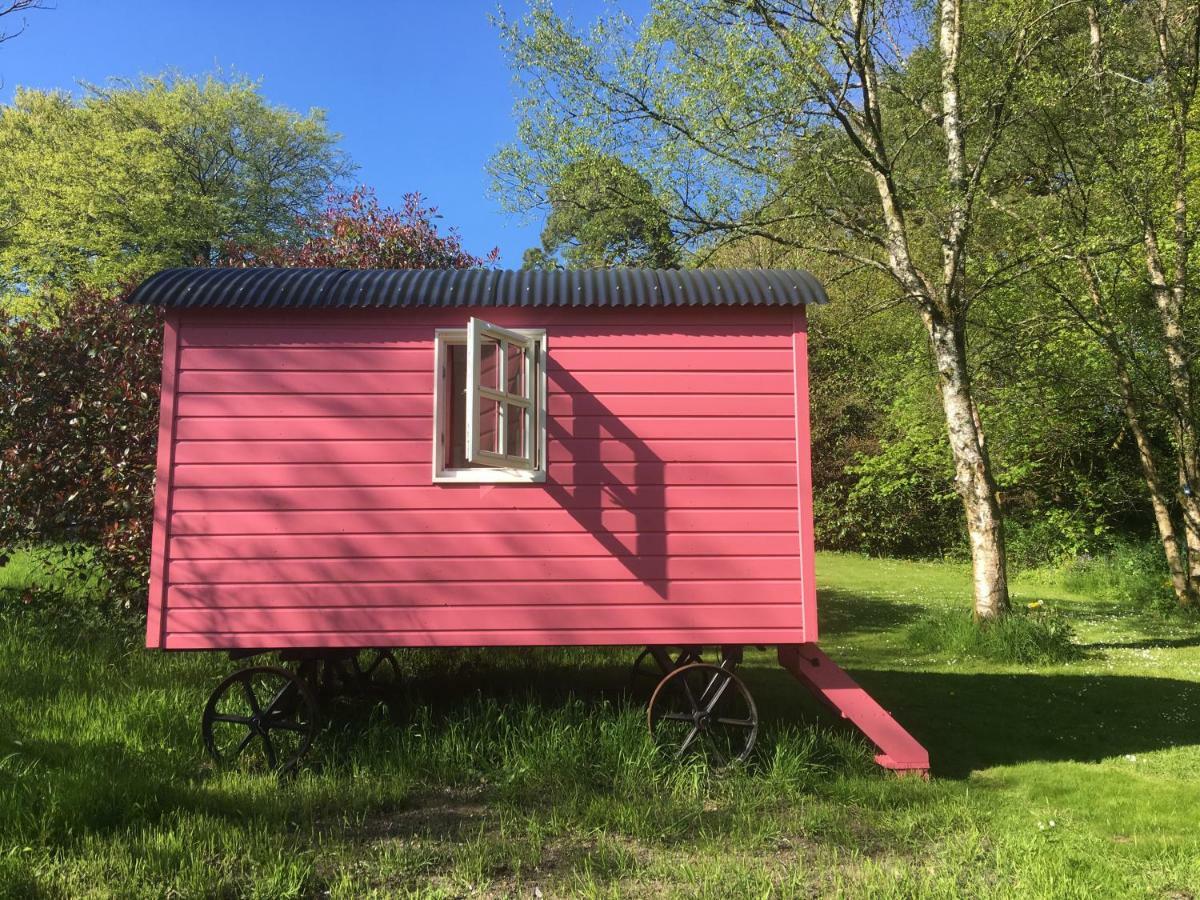 Blackstairs Shepherds Huts Killedmond المظهر الخارجي الصورة