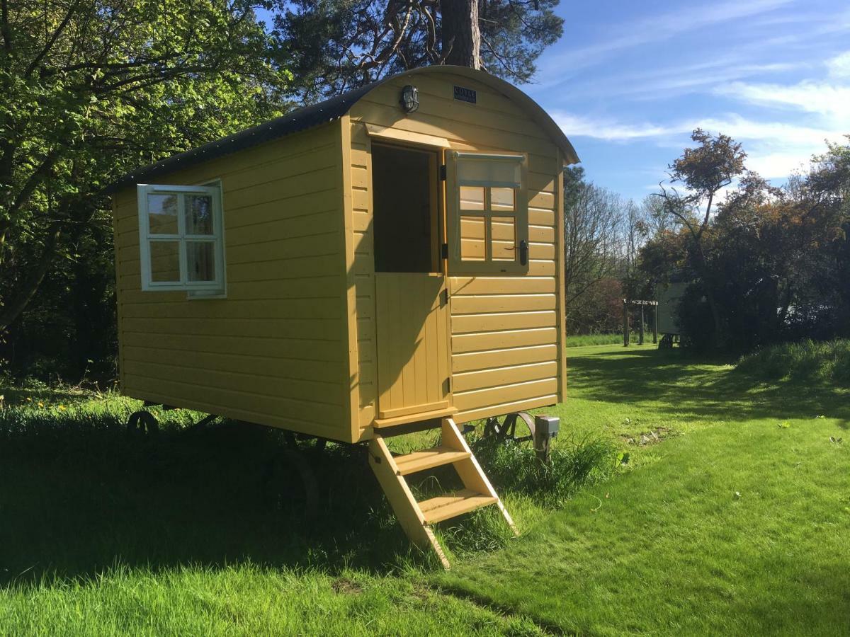 Blackstairs Shepherds Huts Killedmond المظهر الخارجي الصورة